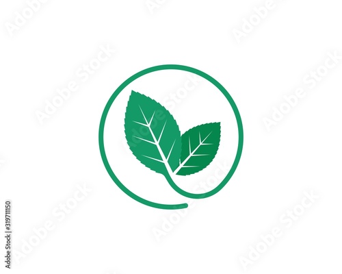 mint leaf illustration vector template