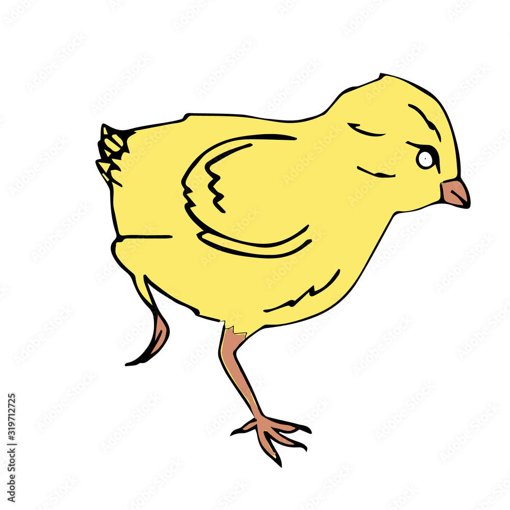 chicken chicken