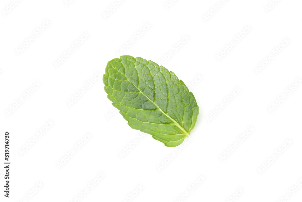 Fresh mint leaf isolated on white background Fresh mint leaf isolated on white background