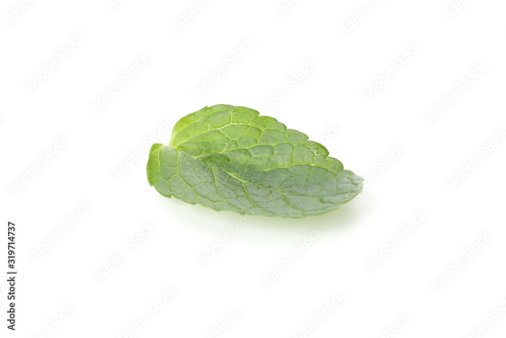 Fresh mint leaf isolated on white background Fresh mint leaf isolated on white background