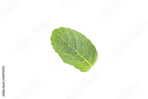 Fresh mint leaf isolated on white background