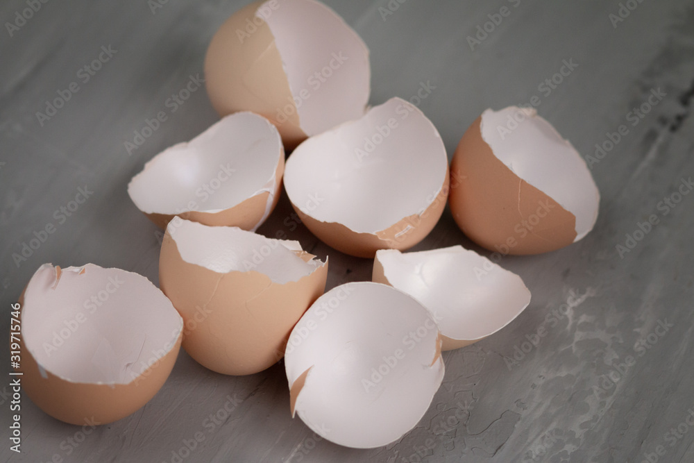 Damaged eggshell background, new life begins. Organic fertilisation concept Damaged eggshell background, new life begins. Organic fertilisation concept