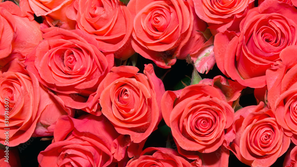 Background of bouquets of flowers. Roses. Design. Close up. Background of bouquets of flowers. Roses. Design. Close up.