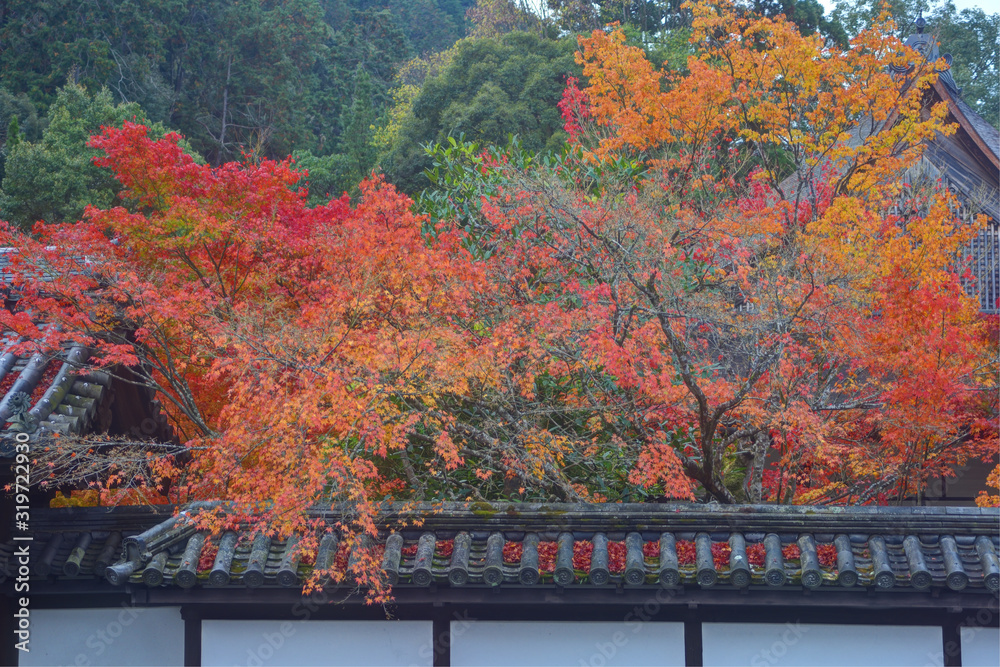南禅寺の紅葉 南禅寺の紅葉