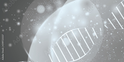 Science concept image of human hand touching DNA. black and white light abstraction of digital art. Vector illustration.