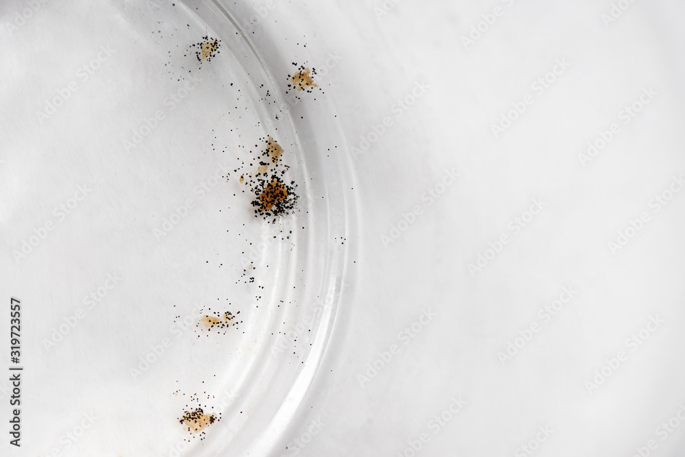 Black Mold On A Glass Transparent Plate Dirty Dishes Fungus Stock Photo