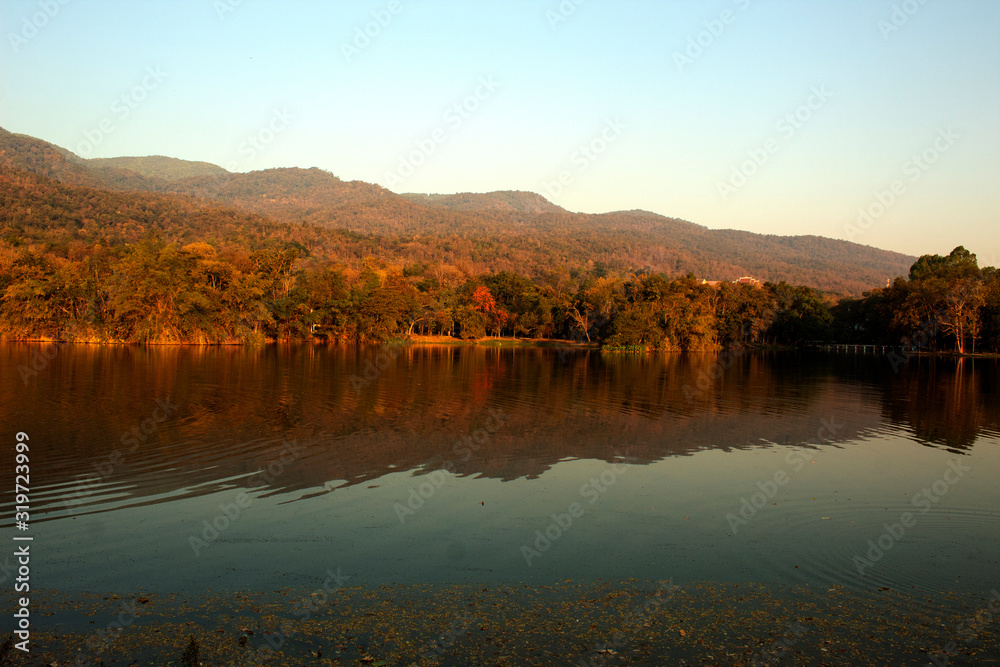 leke in autumn , mountain Chiang Mai Thailand ,nature forest