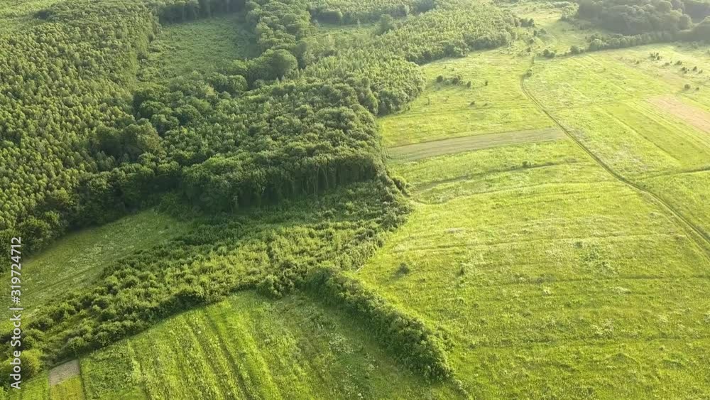 Top down aerial view of green summer forest with large area of cut down trees as result of global deforestation industry. Harmful human influence on world ecology. Top down aerial view of green summer forest with large area of cut down trees as result of global deforestation industry. Harmful human influence on world ecology.