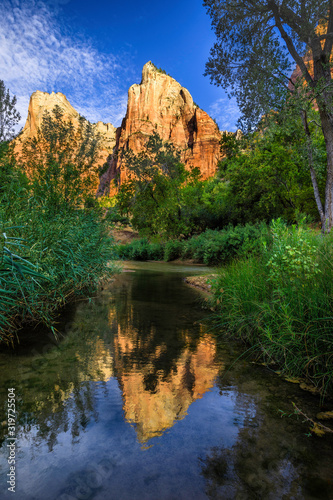 Zion Reflections