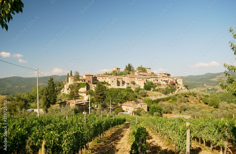 Tuscany, Italy, Montefioralle, italian, Summer, Vineyards,  Olive, Olive trees, Italian village, Sunflower,  Fields
