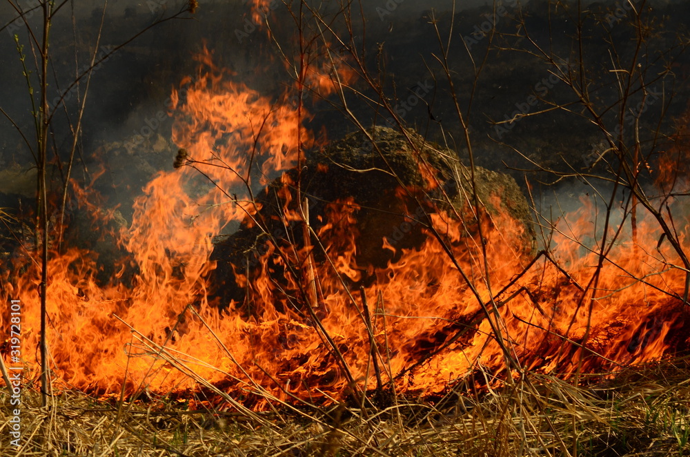 fire burn grass