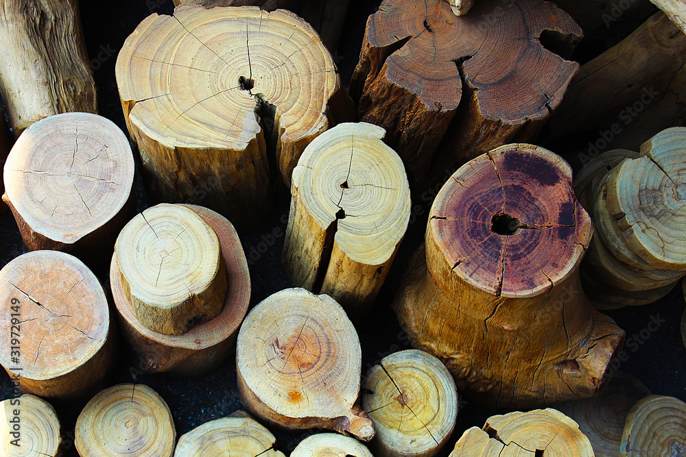 The trunks were sawed and decorated into chairs The trunks were sawed and decorated into chairs