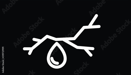 Roof leak icon