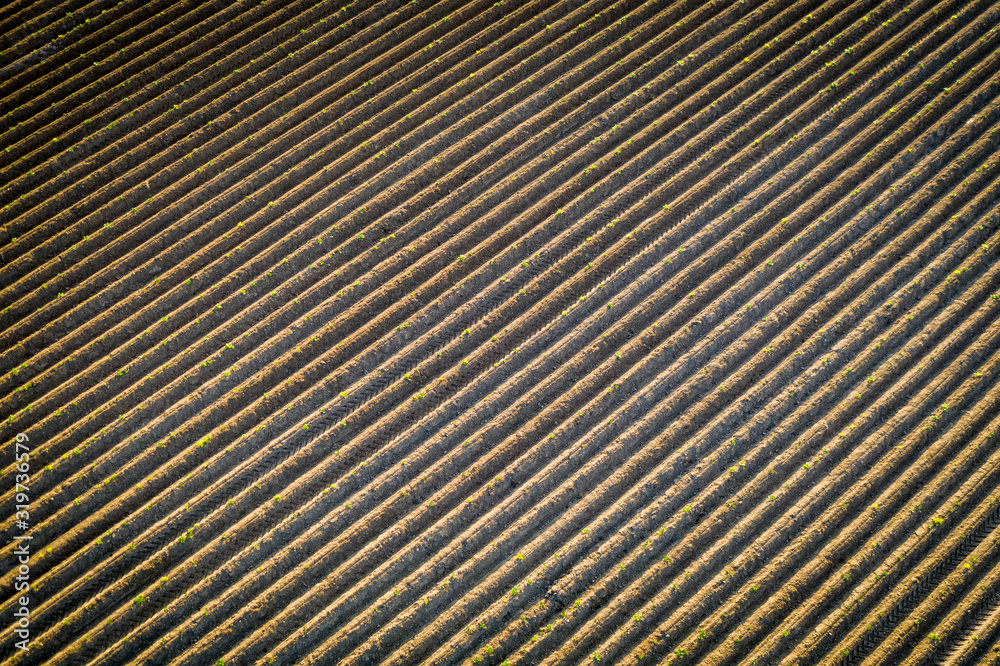 Obraz premium Nature background of.furrows in the field.