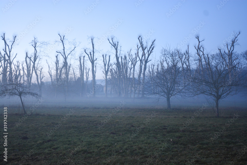 Freudental, South of Germany, park of the Castle in fog