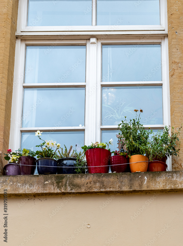 Naklejka premium window box garden modern apartment living