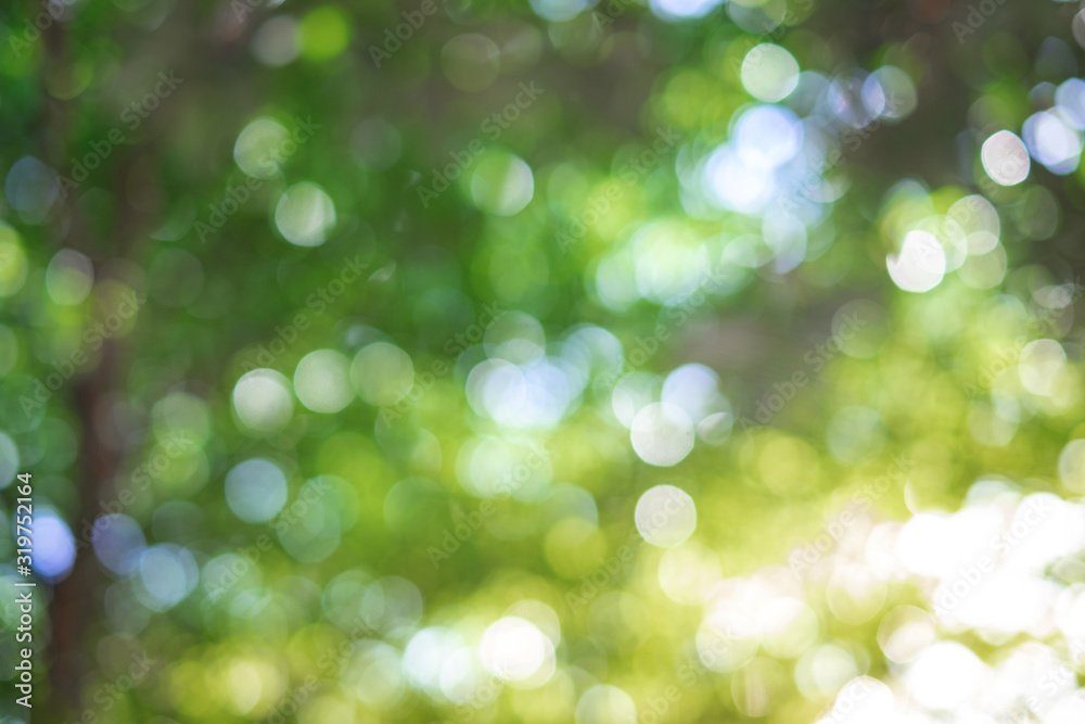 Obraz premium Green bokeh on nature abstract blur background green bokeh from tree