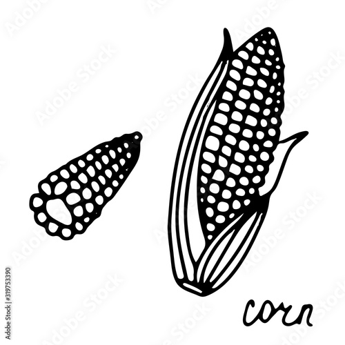Cuadro en lienzo Hand drawn isolated food icon