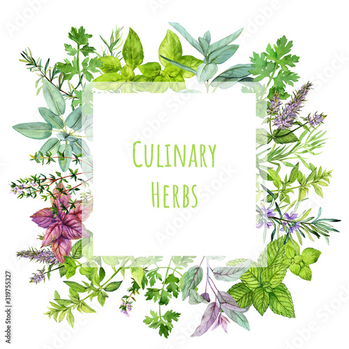 Square banner with watercolor kitchen herbs and plants