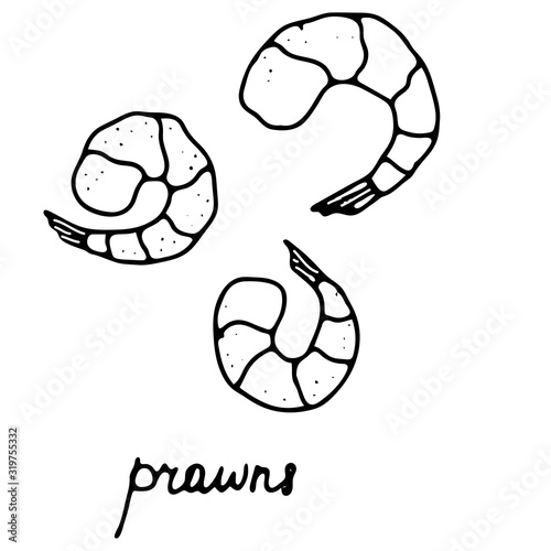 Hand drawn isolated seafood icon. Black outline illustration of prawns. Peeled shrimps icon.