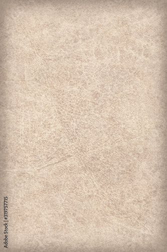 Quadro em tela High Resolution Antique Parchment Vignette Grunge Texture