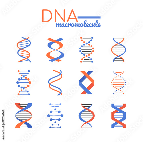 DNA macromolecule - line design style vector elements