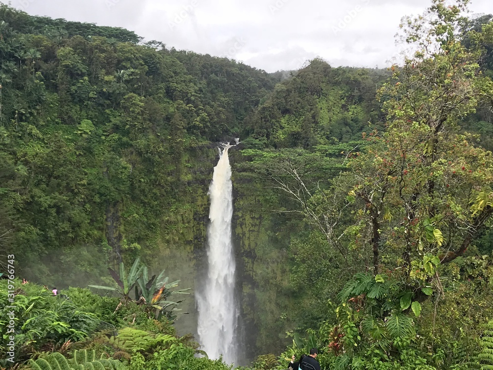 Obraz premium Hawaii Hilo Akaka Kahuna Falls