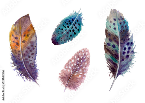 Hand drawn watercolour bird feathers vibrant boho style bright illustration.