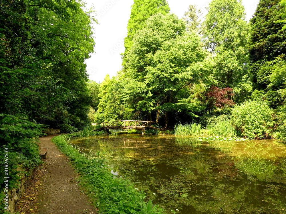 Obraz premium ścieżka w parku