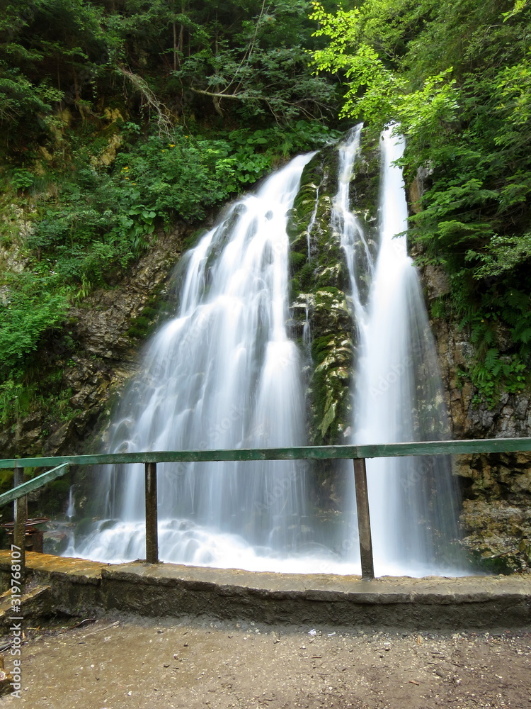 Fototapeta premium waterfall in the forest