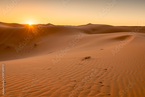 Sunrise over the Sahara Dunes  Merzouga  Morocco