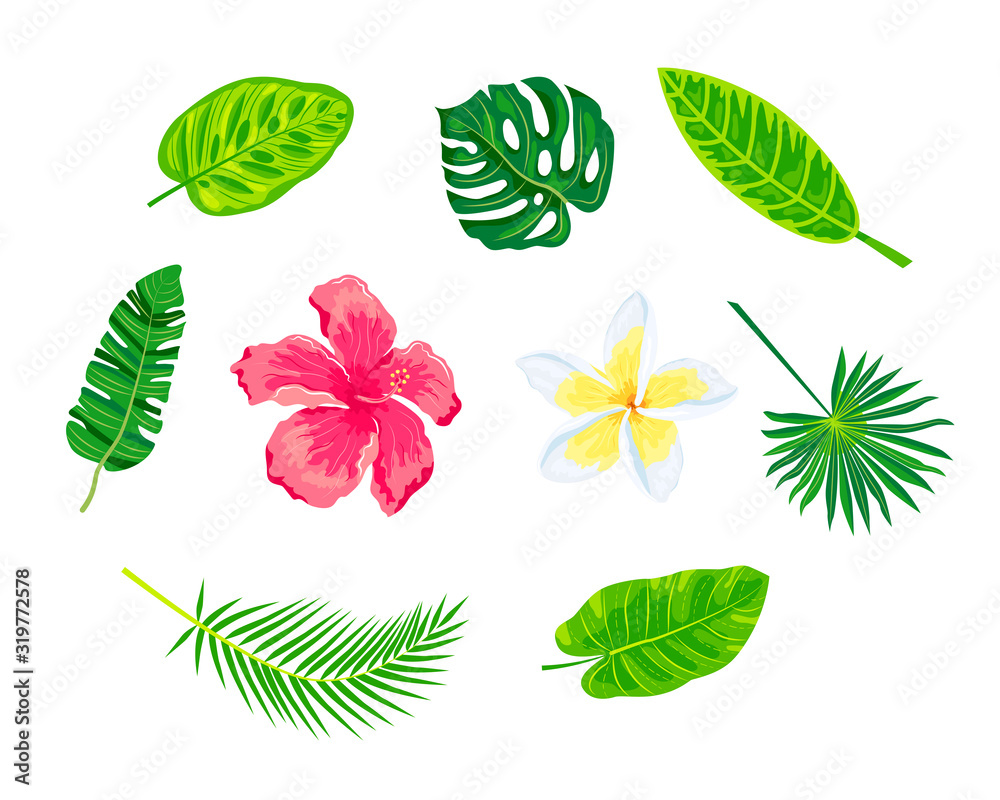 Obraz premium Jungle leaves and tropical flowers vector set. Design elements isolated on white background.