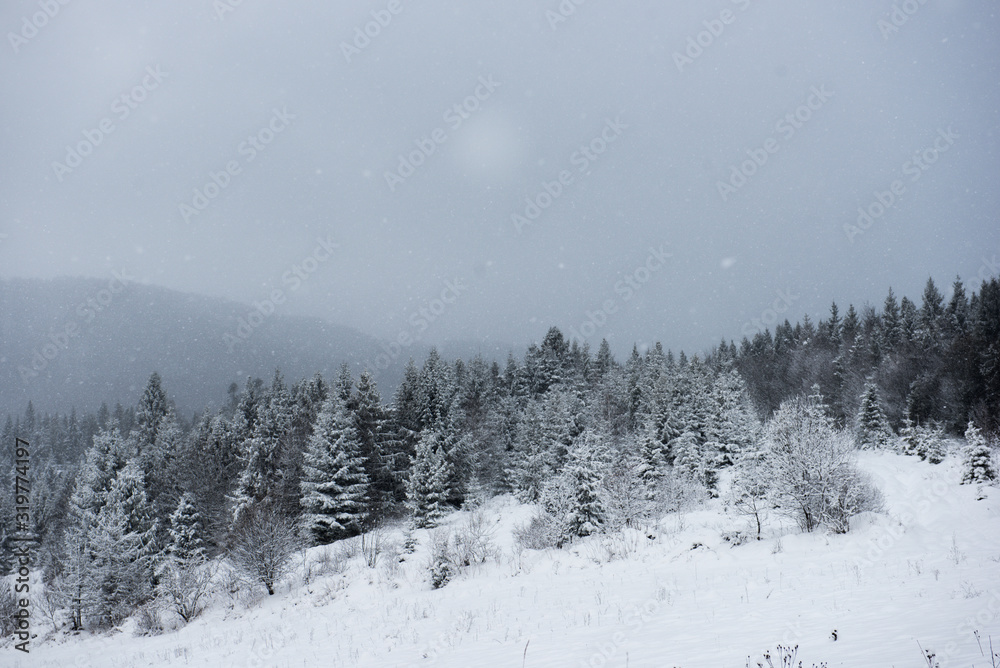 White snow winter nature landscape White snow winter nature landscape