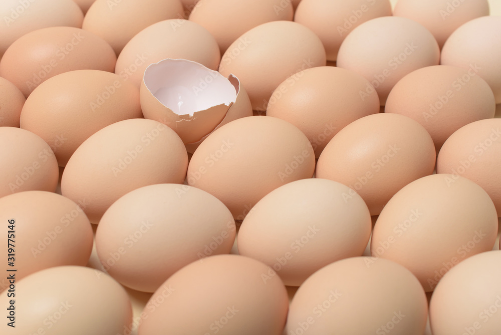 Image of a group of whole chicken eggs and half an egg shell among it. Image of a group of whole chicken eggs and half an egg shell among it.