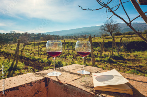 Two glasses of wine in the vineyards at the foot of the Etna volcano