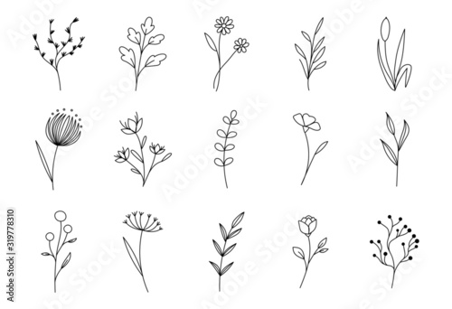 Hand drawn flower set. Vector ink floral doodles, sketch leaves decoration. Modern outline illustration on isolated background for tatoos, t-shirts and textile