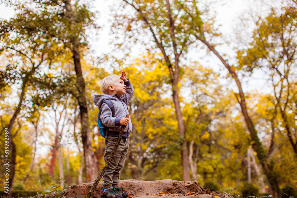 Naklejka premium Cute child watching nature on hump in forest