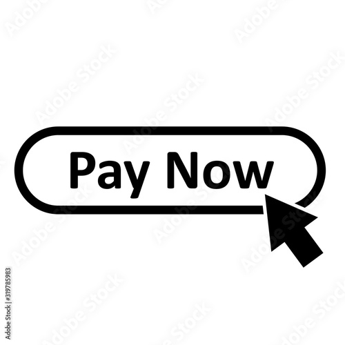 pay now icon on white background. flat style. pay now button for your web site design, logo, app, UI. pay now symbol.