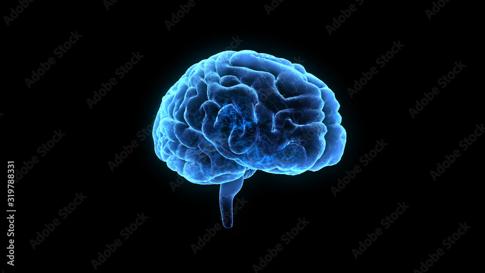 Brain head human mental idea mind 3D illustration background Brain head human mental idea mind 3D illustration background