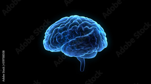 Brain head human mental idea mind 3D illustration background