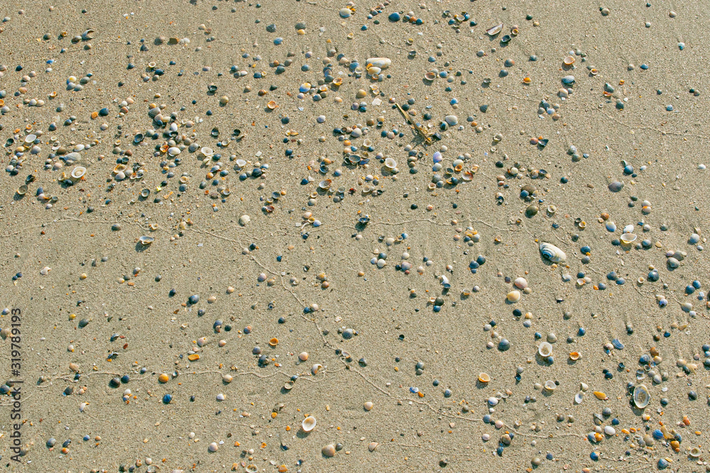 Sand with shells