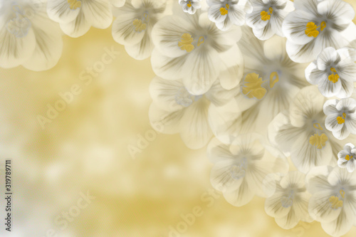 Delicate spring flowers on a light blurred background, suitable for postcards and greetings