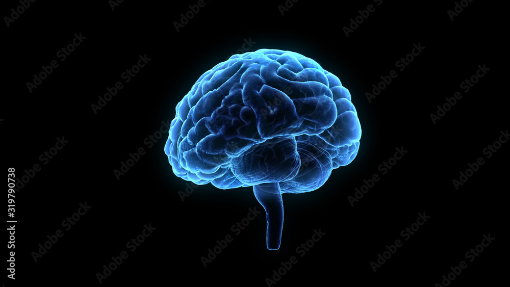 Brain head human mental idea mind 3D illustration background Brain head human mental idea mind 3D illustration background