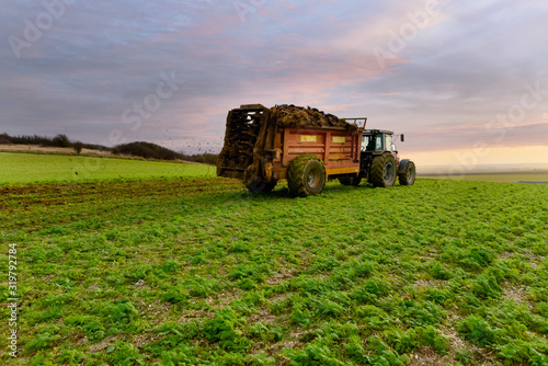 Quadro em tela tractor and trailer for spreading manure in fields close up