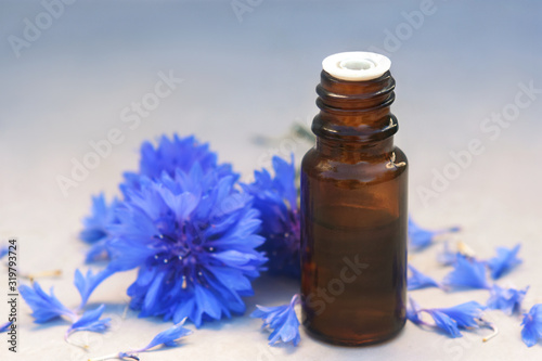 Essential oil bottles on medicinal cornflowers  Centaurea cyanus bachelor s button  flowers and herbs background  selective focus  toned