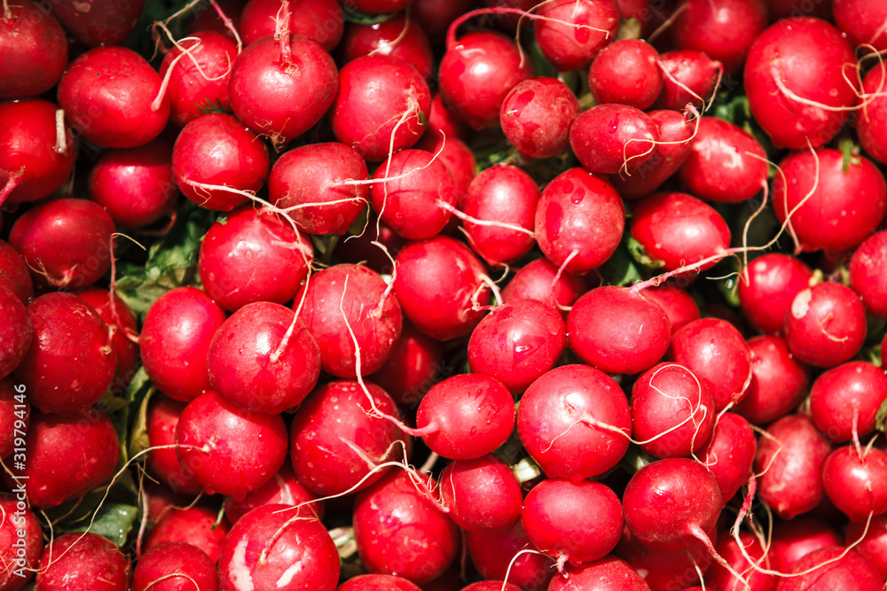 A lot of red radish. background of red radishes, lots of radishes. Lots of fresh ripe radishes at market. Top view A lot of red radish. background of red radishes, lots of radishes. Lots of fresh ripe radishes at market. Top view