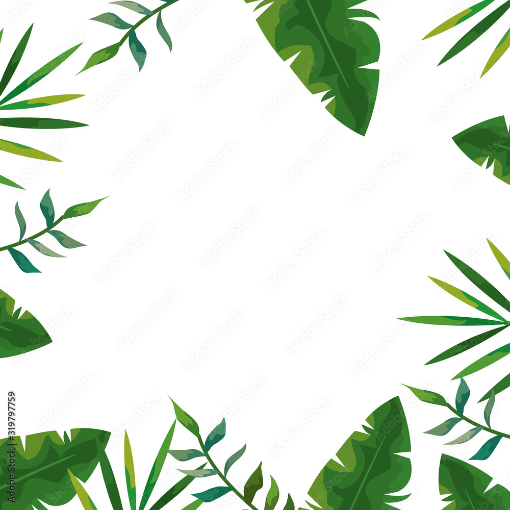 frame of tropical natural leafs isolated icon frame of tropical natural leafs isolated icon