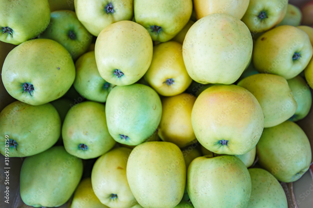 Background of green apples. Lots of green apples. Beautiful background of green apples Background of green apples. Lots of green apples. Beautiful background of green apples