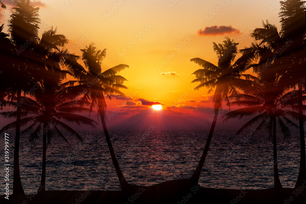 Tropical Sunset Palm Silhouette Landscape