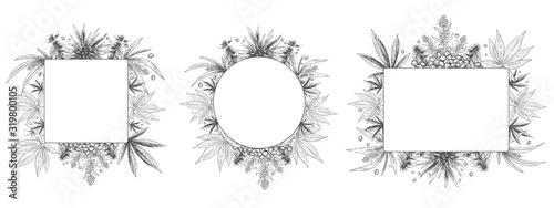 Hemp frame. Hand drawn cannabis plant, sketch hemp leaf and marijuana seeds frames vector set. Bundle of monochrome square, round and rectangular border templates decorated by weed foliage and buds.